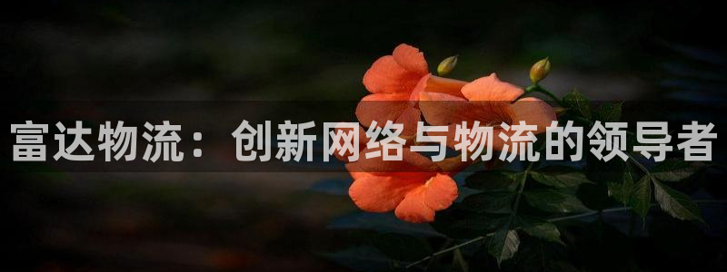 旺财28在线预测官网：富达物流：创新