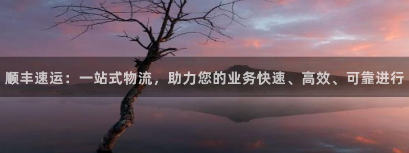 旺财28的平台：顺丰速运：一站式物流