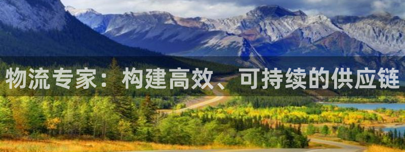 旺财28连接：物流专家：构建高效、可