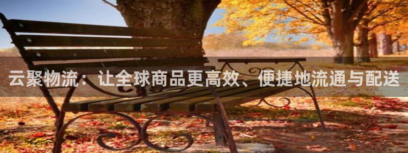 旺财28下载入口：云聚物流：让全球商