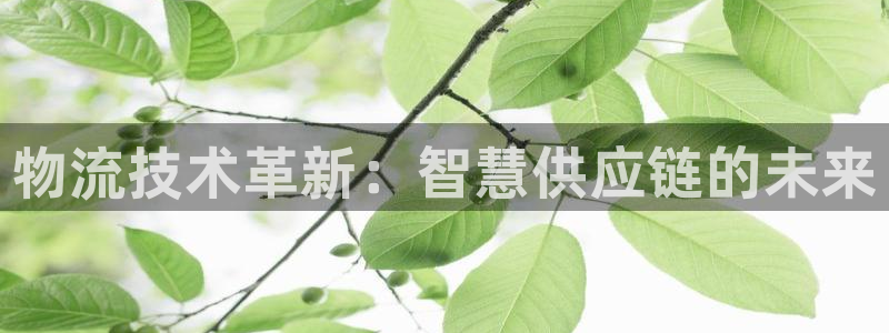 旺财28官方官网：物流技术革新：智慧