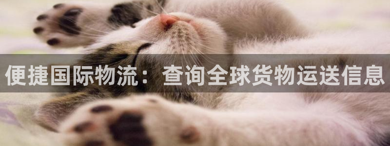 旺财28激活码：便捷国际物流：查询全球货物运送信息