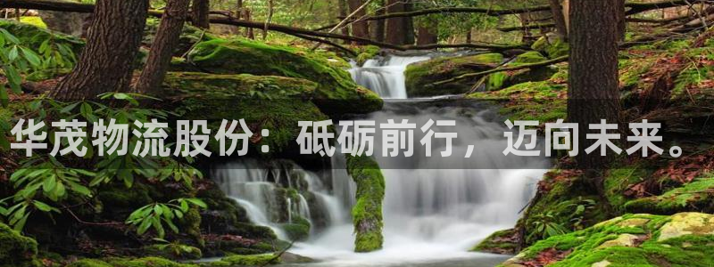 旺财28百度百科：华茂物流股份：砥砺