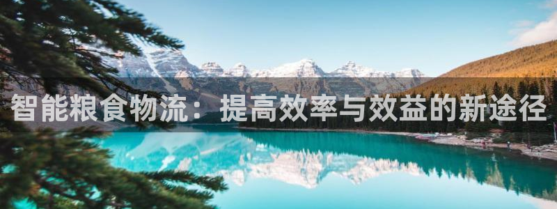 旺财28官网平台：智能粮食物流：提高效率与效益的新途径