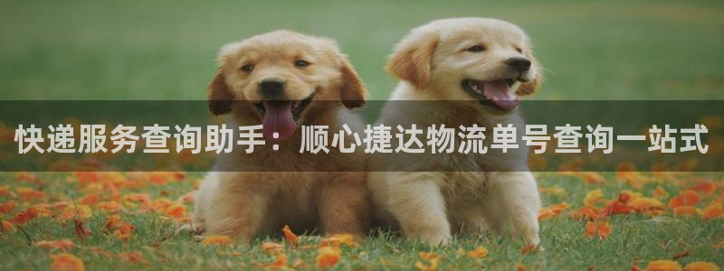 旺财28和南宫28什么关系：快递服务