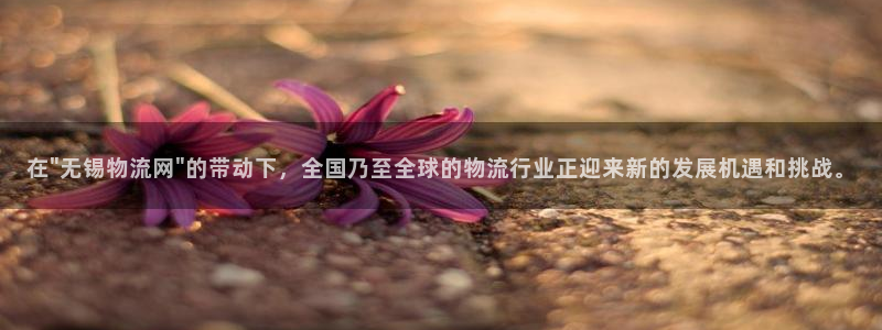 旺财28官方网站是多少：在\