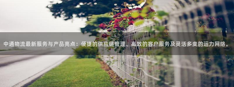 旺财28登录不上咋回事：中通物流最新服务与产品亮点：便捷的供