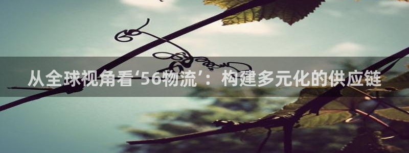 麻将1旺财28：从全球视角看‘56物