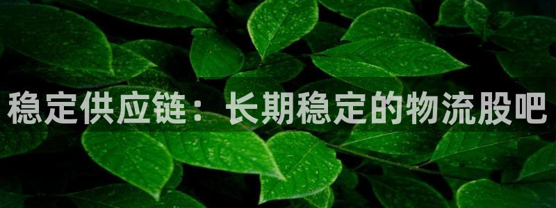 旺财28流水怎么算：稳定供应链：长期
