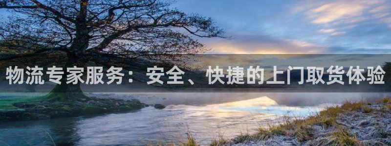 旺财28ccm官网版：物流专家服务：