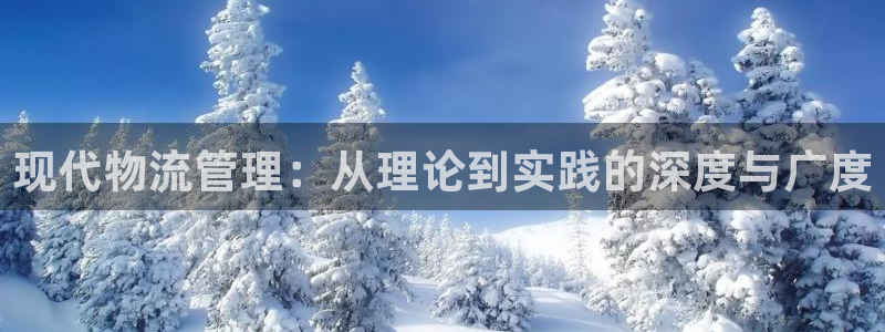 旺财28pc预测：现代物流管理：从理