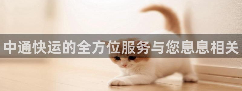 旺财28官方官网：中通快运的全方位服