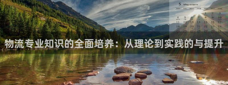 旺财28充值不到账：物流专业知识的全