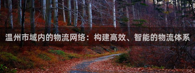 旺财28怎么下载：温州市域内的物流网