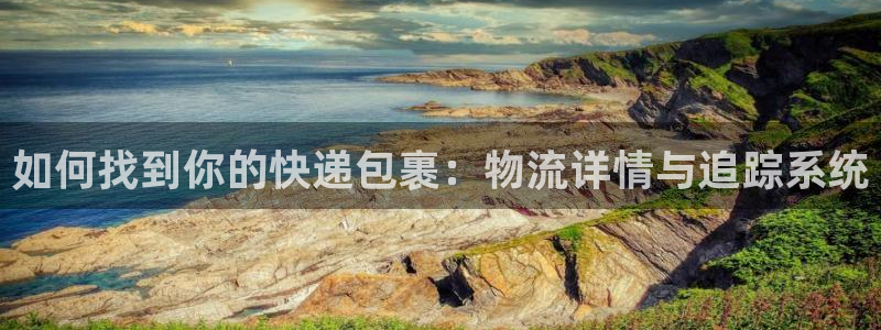 旺财28注册流程：如何找到你的快递包