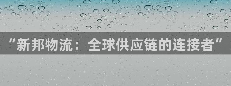 旺财28麻将：“新邦物流：全球供应链