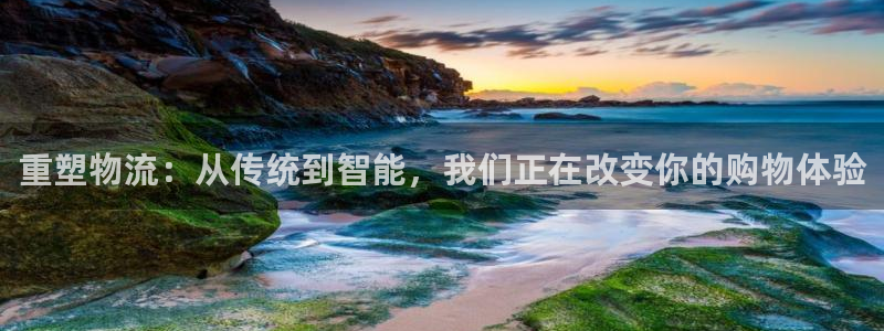 旺财28注册网页：重塑物流：从传统到