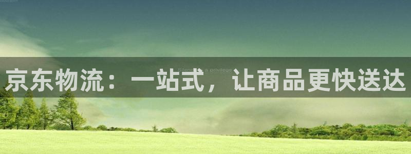 旺财28违法吗：京东物流：一站式，让