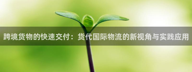 旺财28模拟器:跨境货物的快速交付: