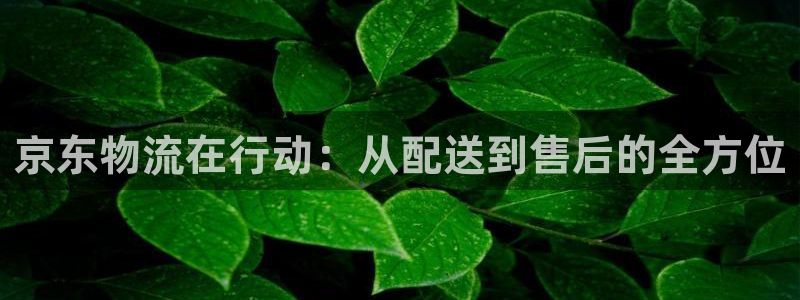 旺财28官网版所有版本:京东物流在行