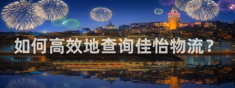 旺财28注册链接:如何高效地查询佳怡