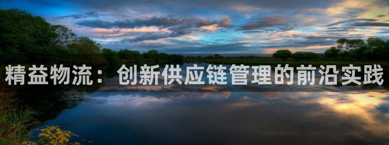 旺财28相信品牌的力量:精益物流:创