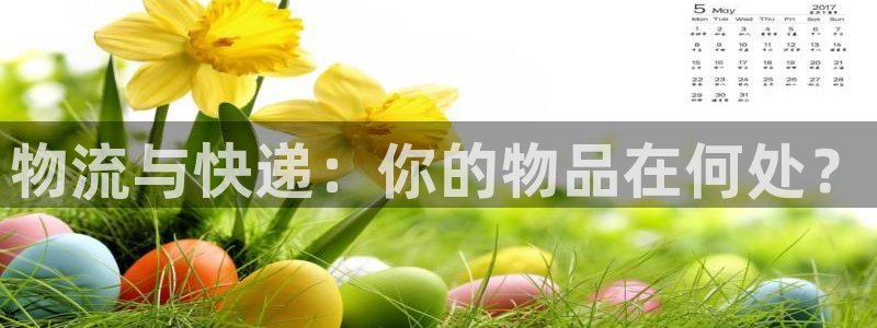 旺财28官网下载加拿大:物流与快递: