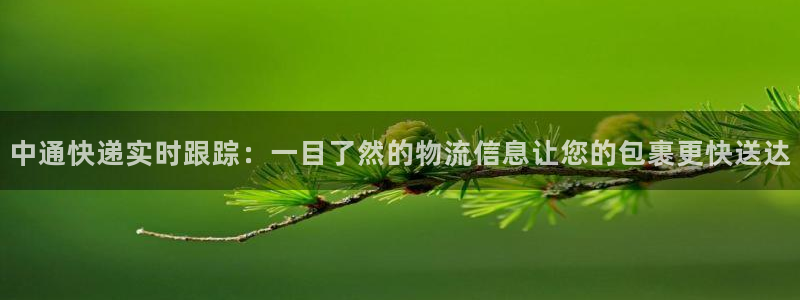 旺财28是什么是赌博吗?:中通快递实