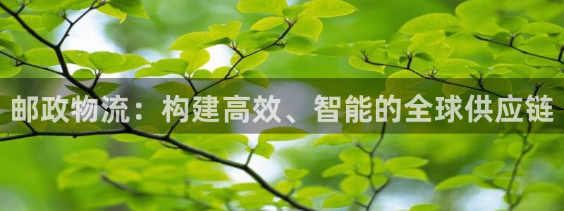 旺财28游戏官网版：邮政物流：构建高