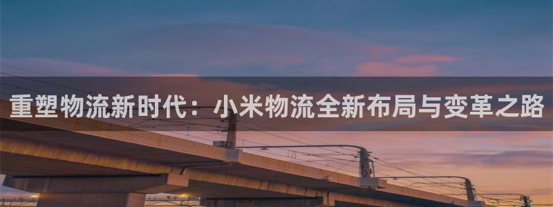 旺财28退款：重塑物流新时代：小米物