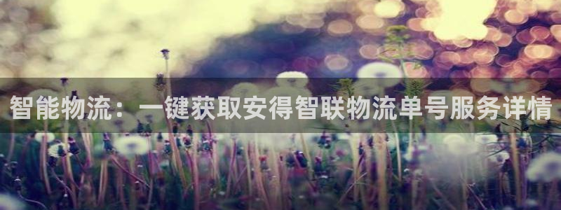 旺财28加拿大最新版：智能物流：一键获取安得智联物流单号服务