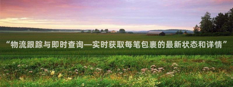 旺财28赌博被抓