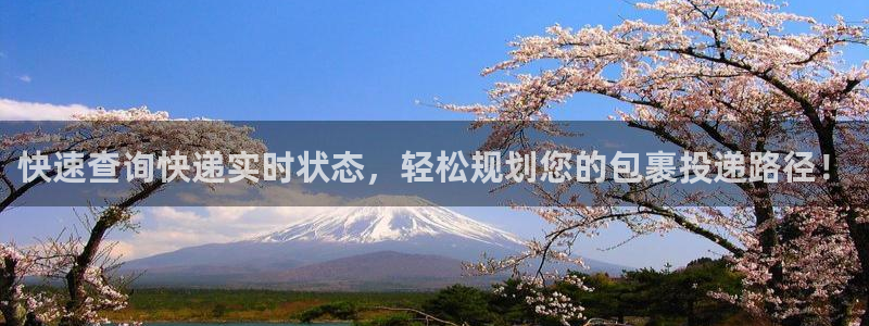 旺财28模拟器下载：快速查询快递实时状态，轻松规划您的包裹投