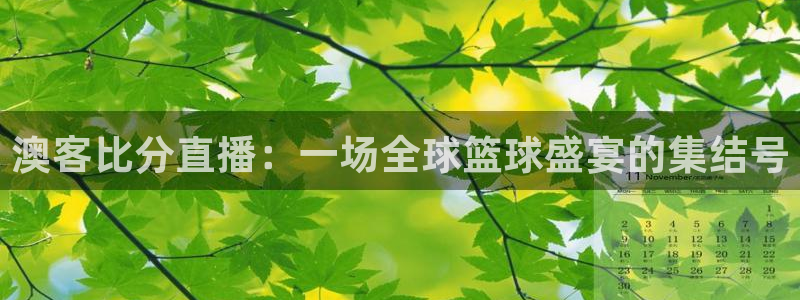 nba赛事直播说球帝：澳客比分直播：一场全球篮球盛宴的集结号