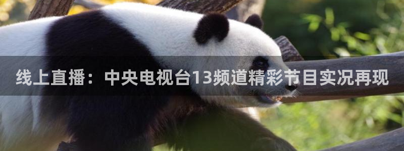 nba视频直播说球帝：线上直播：中央电视台13频道精彩节目实况再现