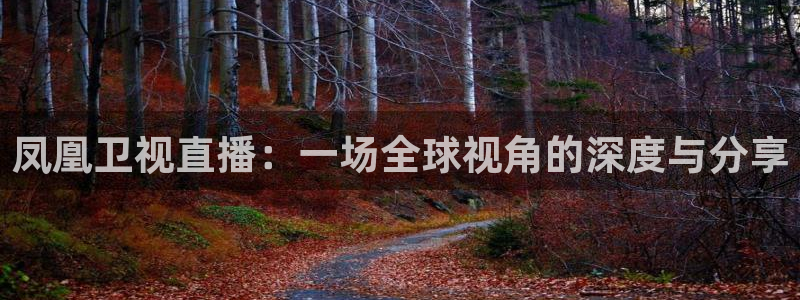 直播nba免费观看说球帝：凤凰卫视直播：一场全球视角的深度与分享
