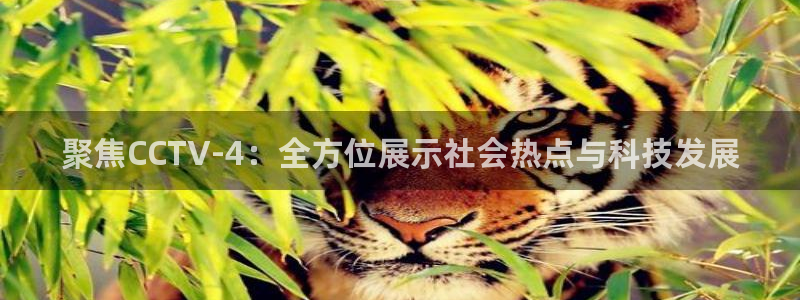 说球帝nba在线直播：聚焦CCTV-4：全方位展示社会热点与科技发展